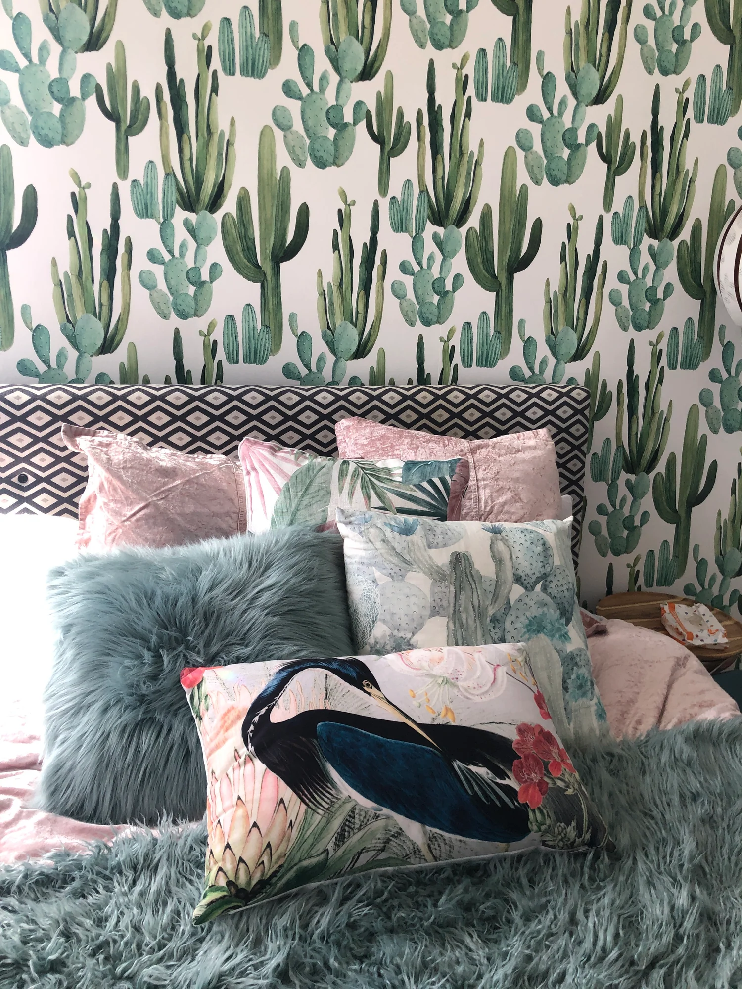 Elevate Your Living Spaces Daily
